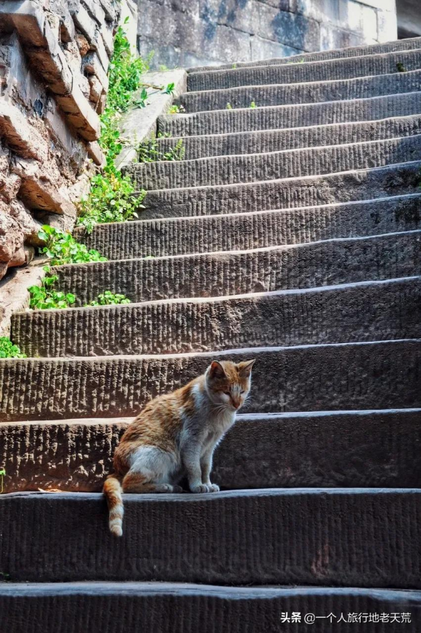 苦等5年終通高鐵！這座比成都還巴適的酒城，為了吃也要去一趟