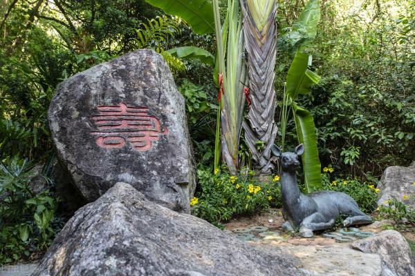 馮友蘭:長壽的重要在於能多明白道理,若無生活經驗是無法理解的 馮友蘭:長壽的重要在於能多明白道理,若無生活經驗是無法理解的