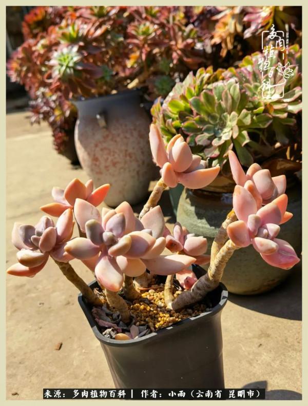 用一份熱愛，溫暖一段時光