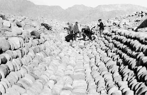 新疆從哪裡來?請記得這些開天闢地的人 新疆從哪裡來?請記得這些開天闢地的人