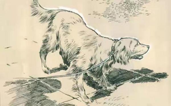 民間故事:女子行善感動山神,化身黃狗守護 民間故事:女子行善感動山神,化身黃狗守護