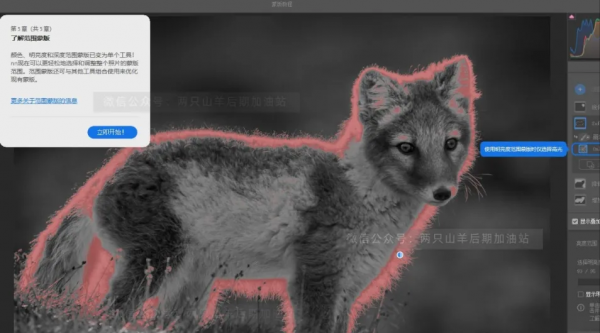 終於來啦~Camera Raw14.0史詩級更新,全新介面,全新功能 終於來啦~Camera Raw14.0史詩級更新,全新介面,全新功能