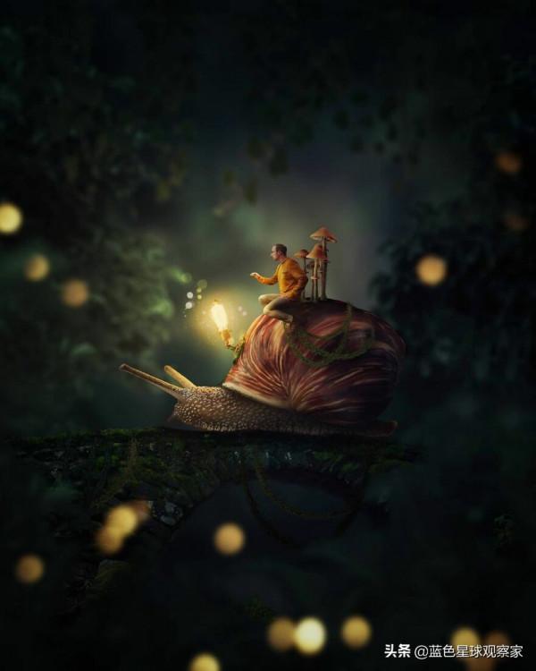 11月新鮮出爐,30張開啟孩子想象力的攝影作品 11月新鮮出爐,30張開啟孩子想象力的攝影作品