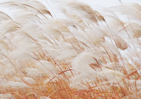 20個小眾旅行地,名氣不大,但景色絕不打折,快快安排上吧 20個小眾旅行地,名氣不大,但景色絕不打折,快快安排上吧
