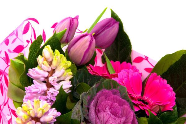 鮮切花中的“5美人”，都可以盆栽養殖，養好了，鮮花自由