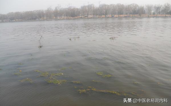 心脾兩虛難自立,老中醫辯證施治,方知心和脾對宗筋自立有多重要 心脾兩虛難自立,老中醫辯證施治,方知心和脾對宗筋自立有多重要