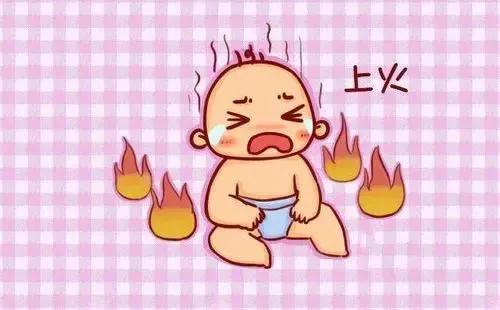 中藥淺說——一味肉桂引火歸元,解決你的上熱下寒 中藥淺說——一味肉桂引火歸元,解決你的上熱下寒