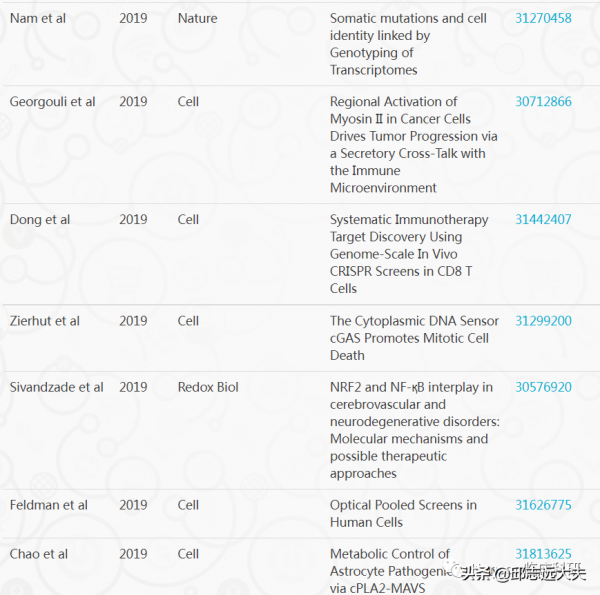 解析NF-κB訊號通路