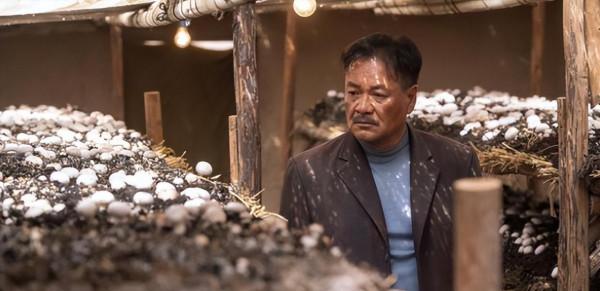 給過去一年“演技最好的10位老戲骨”排名，李幼斌第6，丁勇岱第2