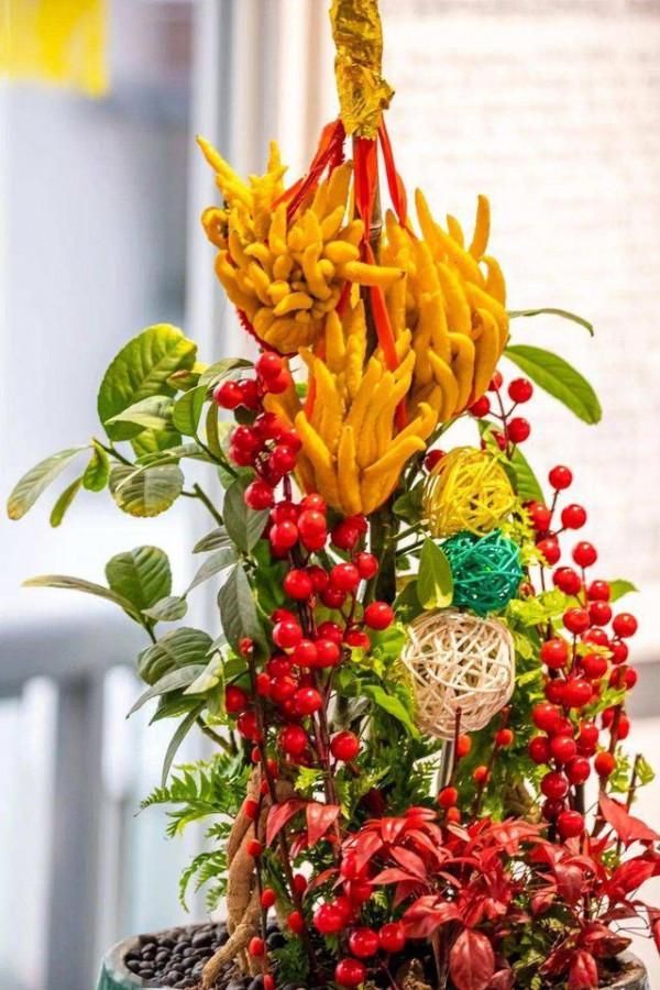 馬上就要過年了,還在為買什麼年宵花發愁嗎?推薦36種供你參考 馬上就要過年了,還在為買什麼年宵花發愁嗎?推薦36種供你參考