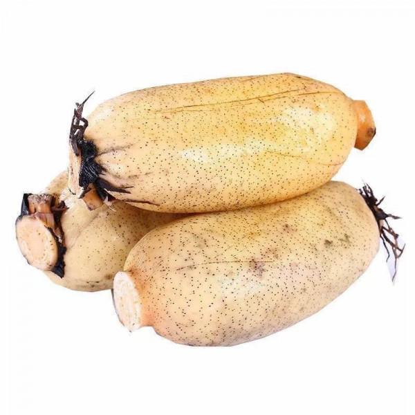 今天進三九,記得告訴家人吃5種鹼性食材,不做2件事,平安迎新年 今天進三九,記得告訴家人吃5種鹼性食材,不做2件事,平安迎新年