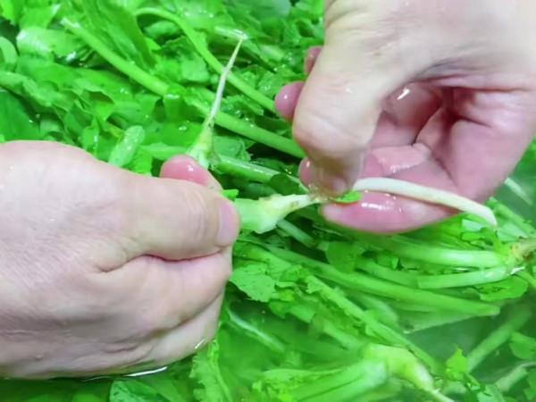 秋冬交替，吃魚吃肉不如吃它，鮮嫩營養又應季，錯過了等明年