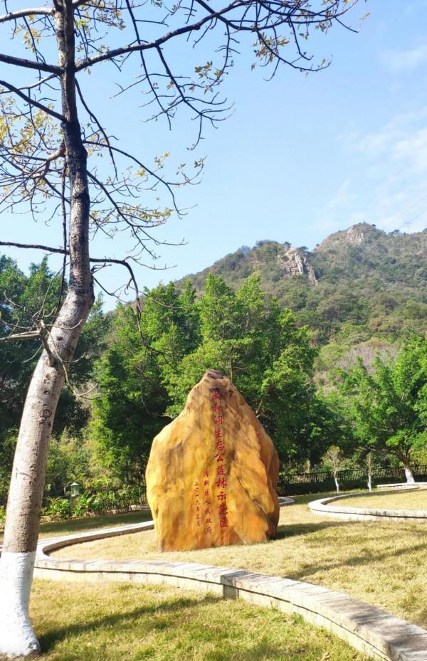 太和古洞有故事