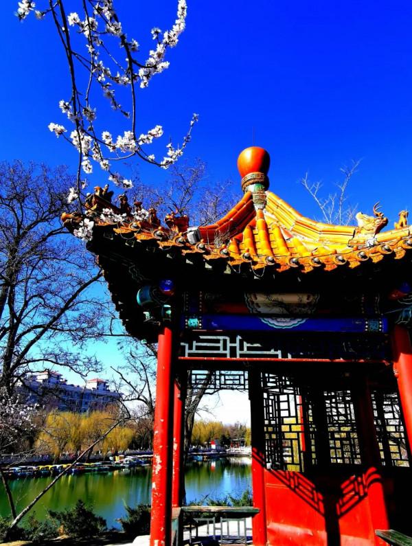 迎冬奧·發現宣化之美|宣化這個公園,美的不像話,像畫! 迎冬奧·發現宣化之美|宣化這個公園,美的不像話,像畫!