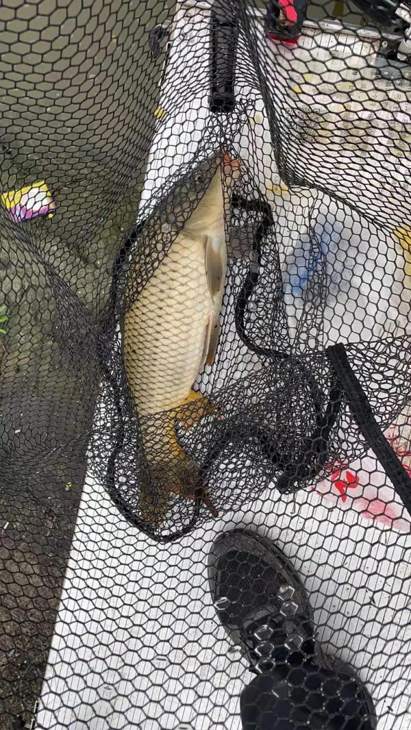 釣魚人乾貨，請收藏