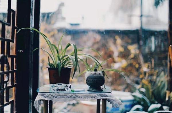 認知：懂得&OpenCurlyDoubleQuote;順其自然&rdquo;，便能一生順遂