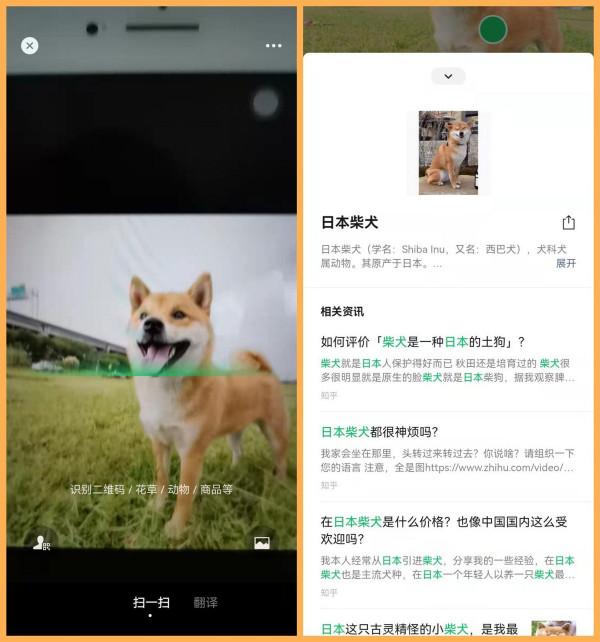 微信掃一掃開啟“識物”功能了!除了掃碼還可以識萬物,太好玩了 微信掃一掃開啟“識物”功能了!除了掃碼還可以識萬物,太好玩了