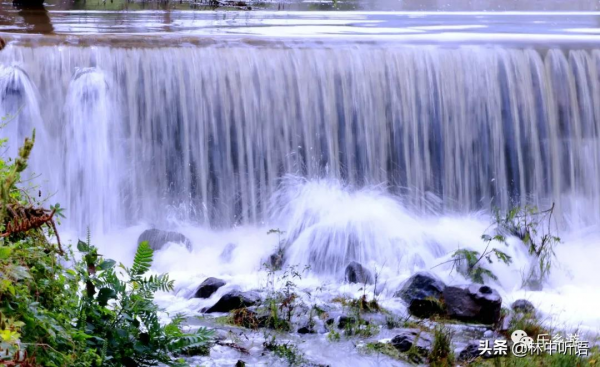 大美五蓮,姚家溝瀑布漂亮 大美五蓮,姚家溝瀑布漂亮