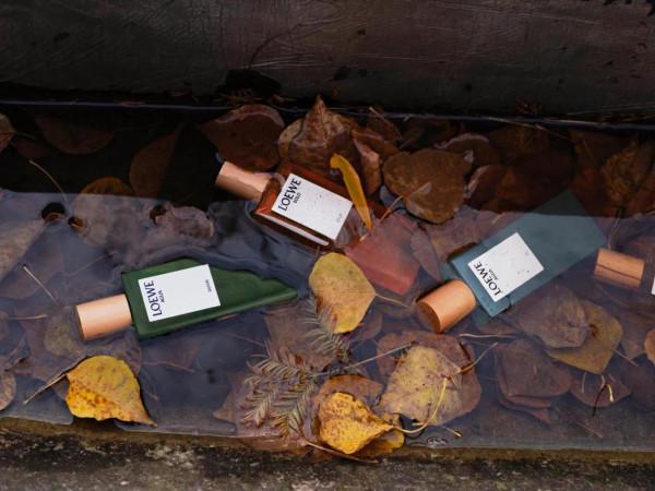 吳磊好帥氣啊，恭喜恭喜，一起去get同款香氣，享受美好時光