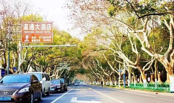 今天，邂逅一場浪漫的崇明“賞葉之旅”