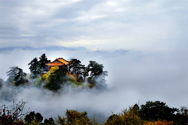 詩詞曲中的那些茶之“最”,哪一句你最中意? 詩詞曲中的那些茶之“最”,哪一句你最中意?