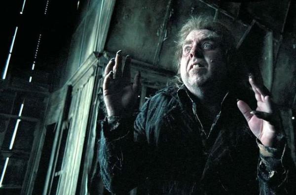 《哈利波特》納吉尼為什麼會死心塌地地跟著伏地魔? 《哈利波特》納吉尼為什麼會死心塌地地跟著伏地魔?