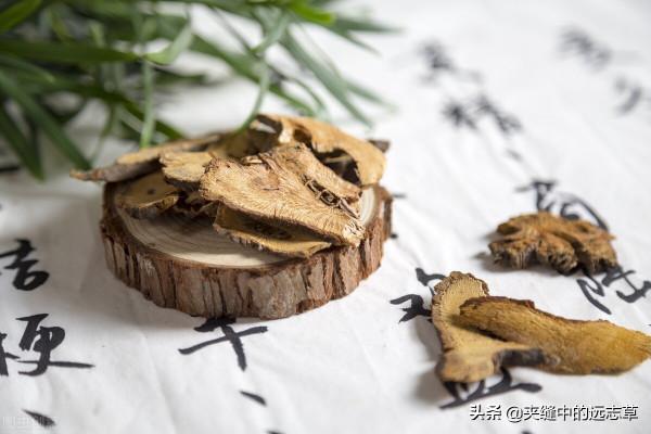 結石?送你三味中藥,清熱利溼,散結消石,不來了解下嗎? 結石?送你三味中藥,清熱利溼,散結消石,不來了解下嗎?