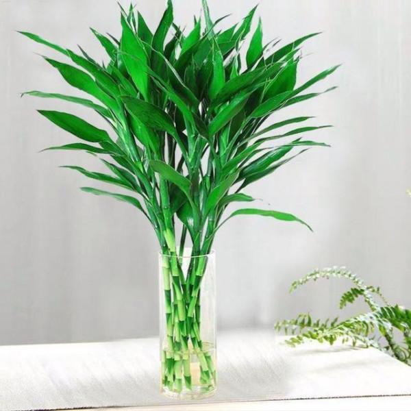 10大“吉祥花”,寓意深遠,好看又大氣,轉運又旺家 10大“吉祥花”,寓意深遠,好看又大氣,轉運又旺家