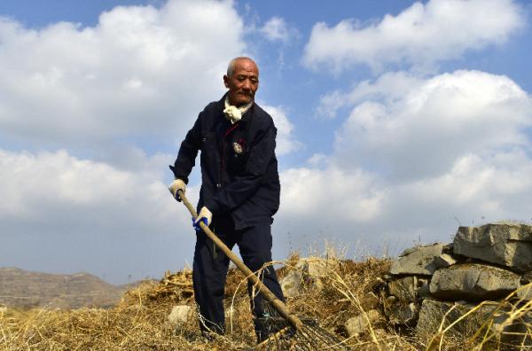 信不信,廣種玉米的山村,從沒進種子站買過種子 信不信,廣種玉米的山村,從沒進種子站買過種子