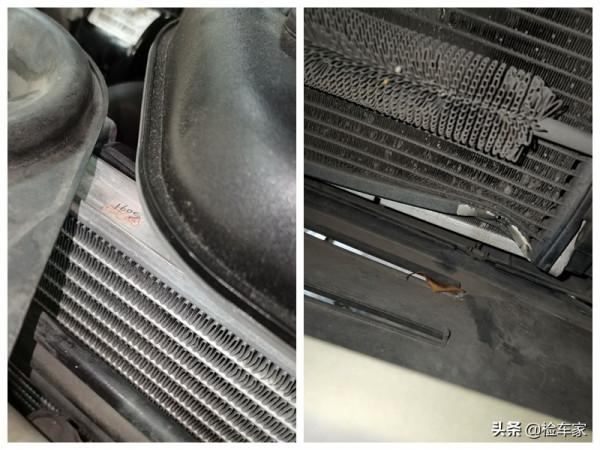 真正的復古潮駕,這輛捷豹XJ6L開了15年還能賣20萬!檢測師都心動 真正的復古潮駕,這輛捷豹XJ6L開了15年還能賣20萬!檢測師都心動