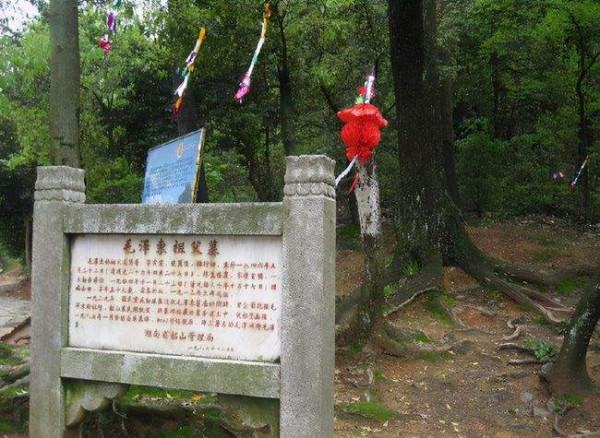 壬寅虎年伊始，揭秘毛主席祖墳所在地&OpenCurlyDoubleQuote;虎歇坪&rdquo;往事，兼談虎文化