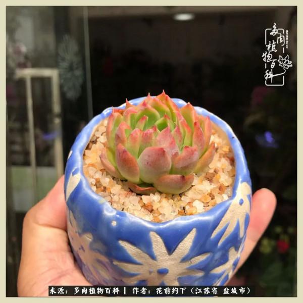 你儘管善良,福報都在路上 你儘管善良,福報都在路上