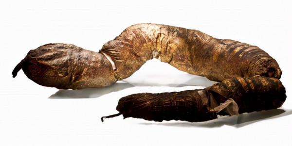 愛因斯坦的大腦、人類最大便便……看了這座博物館，我大開眼界