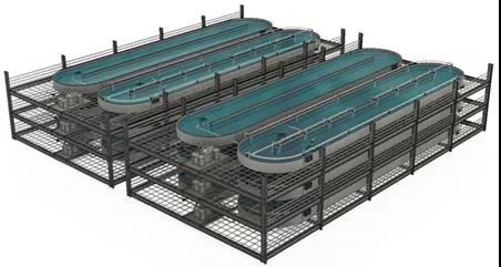 &OpenCurlyDoubleQuote;多層養蝦&rdquo;又來了！市場目標是沿海大城市