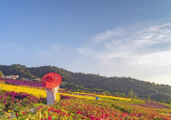 冬季到底哪裡最美？盤點這5個地方，讓你在寒冬也找到出行的樂趣