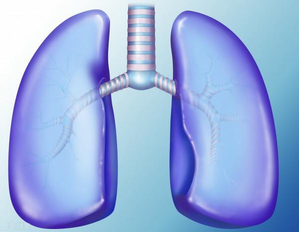 慢性腎炎出現水腫、高血壓、貧血、失眠和肺脾心肝功能失調有關