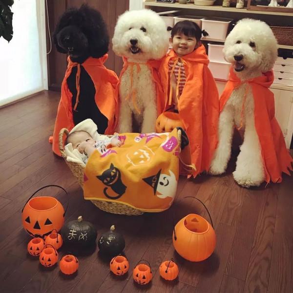 日本奶奶分享小孫女和三隻大狗狗的日常，治癒了56萬+網友…