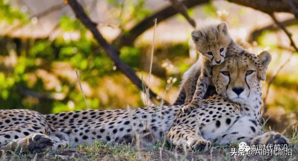 “人臉識別”再起爭議