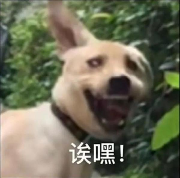 可愛又沙雕的鬼故事 可愛又沙雕的鬼故事