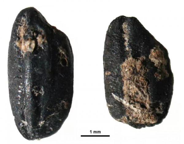 中國古代天文曆法的由來:為什麼一星期是7天呢? 中國古代天文曆法的由來:為什麼一星期是7天呢?