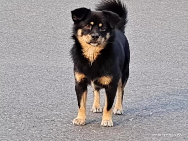 什麼是柺子飯 什麼是柺子飯