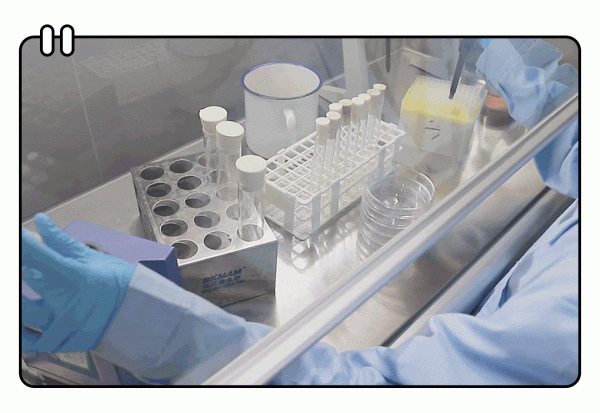 實測丨在瑜伽墊上暴汗會滋生多少細菌？