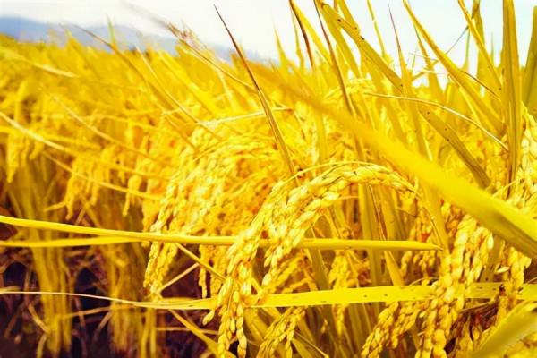 關於中秋節,中國人必須知道的一些事 關於中秋節,中國人必須知道的一些事