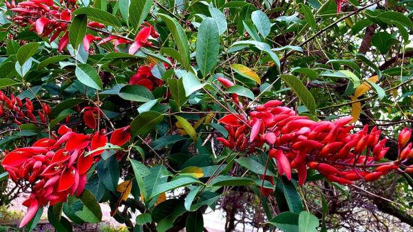 最美莫如日初升,最燦還是落日輝 最美莫如日初升,最燦還是落日輝