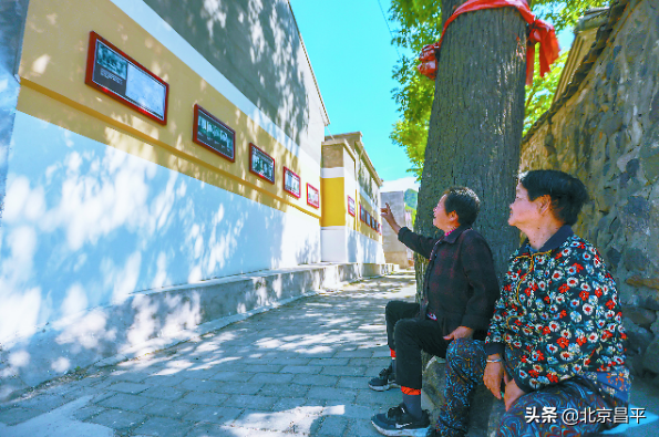 2021好幸運，和你在昌平走過春夏秋冬