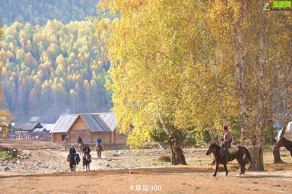 1028名日本人報名遊新疆？新疆顏值實錘了，一年四季，美麗不停歇