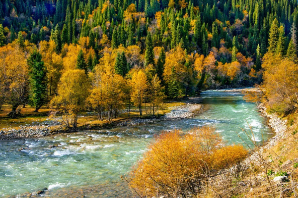 真正的新疆人給你獨庫公路「最全攻略」!純玩!不交智商稅 真正的新疆人給你獨庫公路「最全攻略」!純玩!不交智商稅