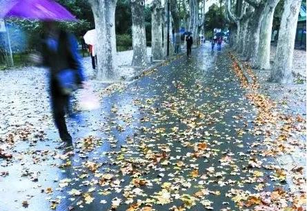 散文:秋天的雨 散文:秋天的雨