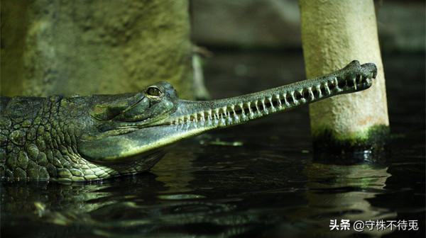 22個冷知識：真實存在著，雖然有趣但是很少有機會使用的獵奇知識