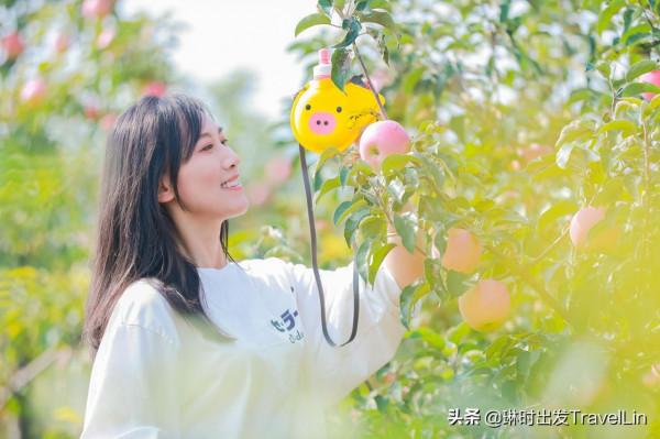 嚮往的鄉遊就在北京延慶